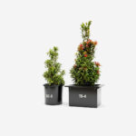 Flower Bucket